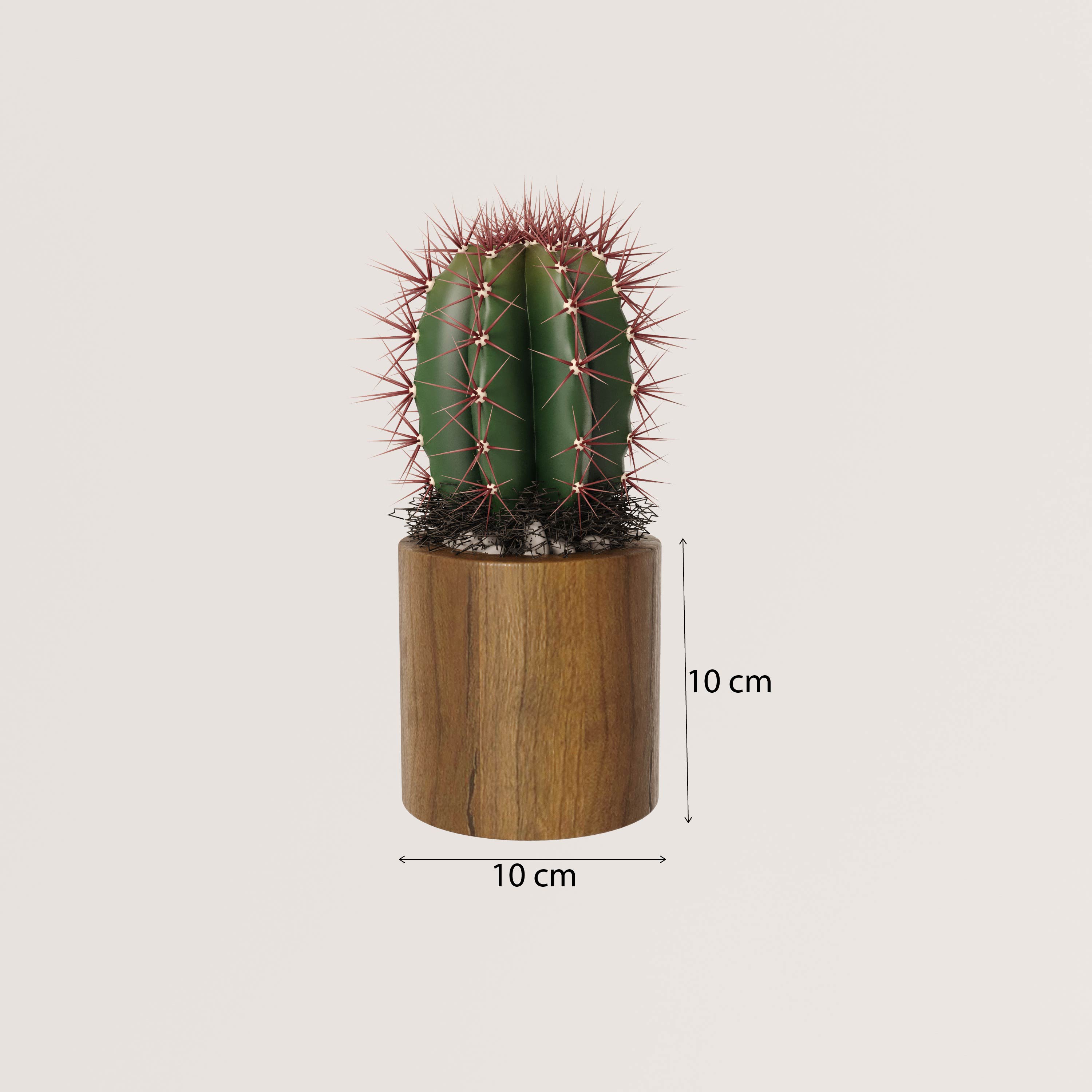 Vaso Cachepot de Madeira de Demolição Rústica para Decoração
