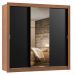 Guarda Roupa Casal Madesa Lyon 3 Portas de Correr com Espelho 2 Gavetas - Rustic/Preto