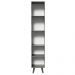 Paneleiro Armário de Cozinha 40 cm 2 Portas Cinza Nice Madesa