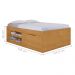 Box com Sapateira Solteiro Londrina Naturalle