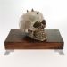 Bandeja De Madeira Original Decorativa Pés Branco 6x24x13cm