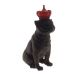 Enfeite Decoração Cachorro Coroa Vermelha Resina Preto 28x12