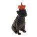 Enfeite Decorativo Cachorro Coroa Laranja Resina Preto 28x12