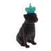 Enfeite Decorativo Cachorro Coroa Verde Resina Preto 28x12cm