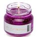 Vela Aromática Geleia de Frutas Perfumada Mels Brushes 85g Blueberry