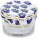 Vela Aromática Perfumada Mels Brushes 100g Blueberry