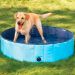 Piscina para Pets 80x20cm Meu Pet