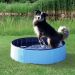 Piscina para Pets 80x20cm Meu Pet
