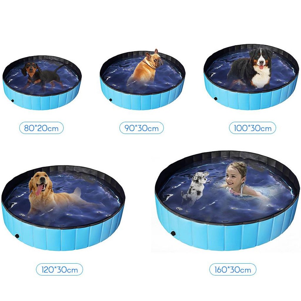 Piscina para Pets 80x20cm Meu Pet
