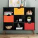Conjunto Nicho Organizador Zuri 9 Espaços Retrô Preto + Kit 3 Gavetas Coloridas