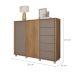 Cômoda Pegasus 2 Portas 5 Gavetas Buriti e Fendi