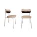 Conjunto com 2 Cadeiras Alloa Polipropileno Areia e Café