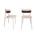 Conjunto com 2 Cadeiras Alloa Polipropileno Palha e Whisky