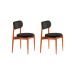 Conjunto com 2 Cadeiras Miami Soft Linho Preto e Imbuia