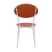Conjunto com 4 Cadeiras Elipse Poliéster Rosa e Caramelo com Branco