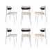 Conjunto com 6 Cadeiras Alloa Polipropileno Palha e Café