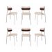 Conjunto com 6 Cadeiras Alloa Polipropileno Palha e Whisky