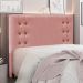 Conjunto de Cabeceira Queen com Recamier Gênova Veludo Rosa