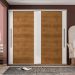 Guarda-Roupa Casal Sevilha Flex 2 Portas 4 Gavetas Freijó e Branco 213cm
