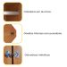 Guarda-Roupa Casal Vicenzo sem Pés 6 Portas 4 Gavetas Cinamomo
