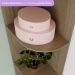 Guarda-Roupa Infantil Labirinto 2 Portas 2 Gavetas Marrom e Branco