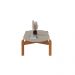 Mesa de Centro Oval Lizz Off White e Cedro