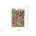Pôster Decorativo Grandes Artistas Jakuchu Roses 50x70 cm
