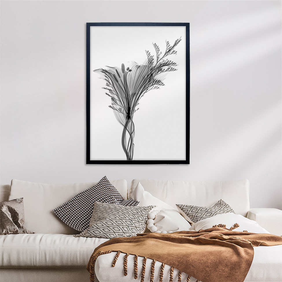 Quadro Clássico Floral Raio-X I com Vidro Preto e Branco 50x70 cm