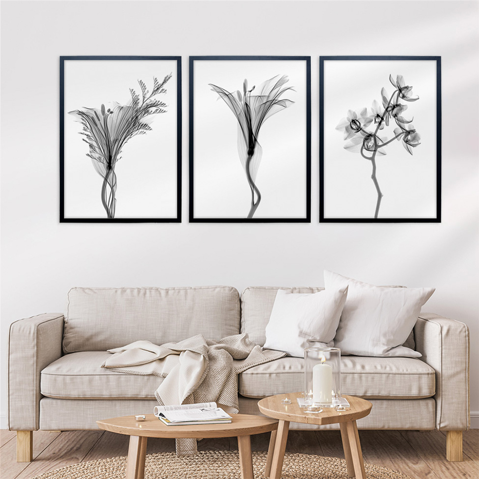 Quadro Clássico Floral Raio-X I com Vidro Preto e Branco 50x70 cm