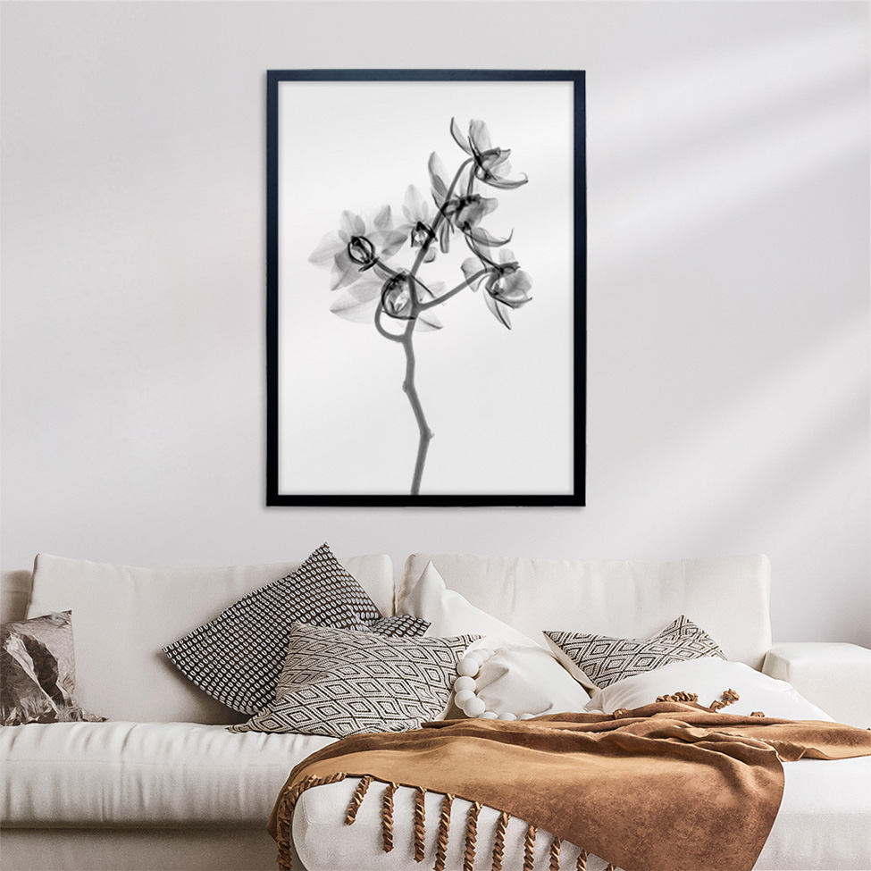 Quadro Clássico Floral Raio-X II com Vidro Preto e Branco 50x70 cm