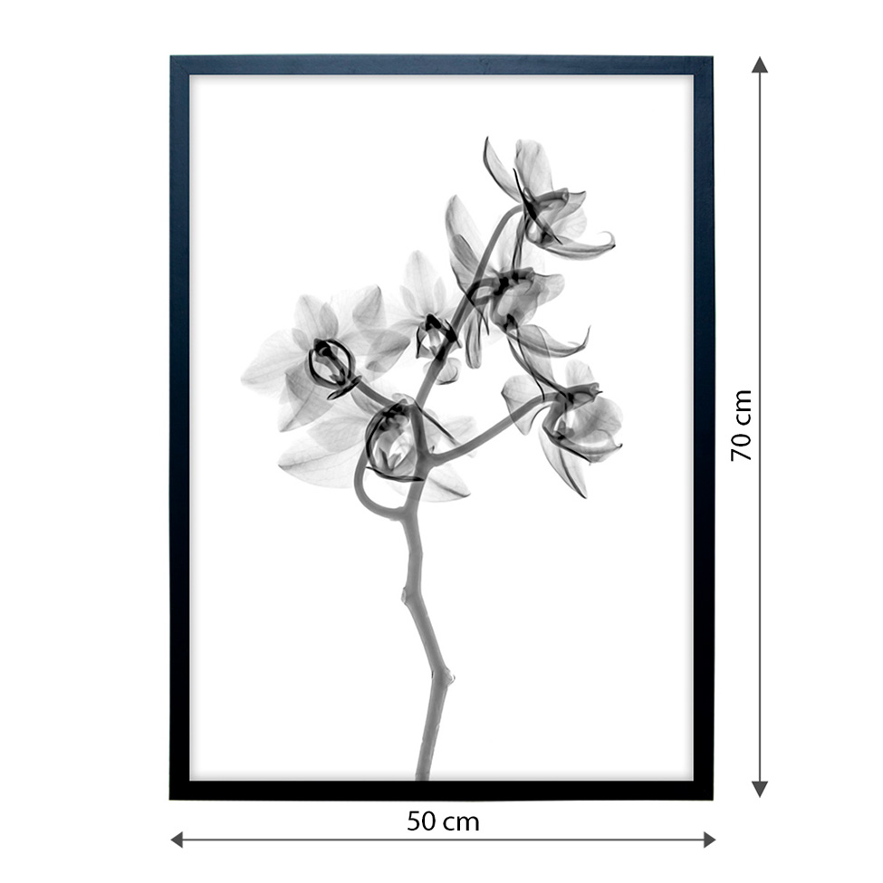 Quadro Clássico Floral Raio-X II com Vidro Preto e Branco 50x70 cm