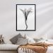 Quadro Clássico Floral Raio-X III com Vidro Preto e Branco 50x70 cm