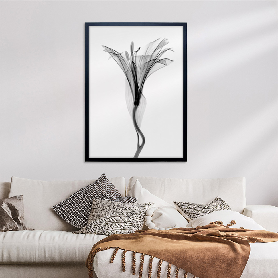 Quadro Clássico Floral Raio-X III com Vidro Preto e Branco 50x70 cm