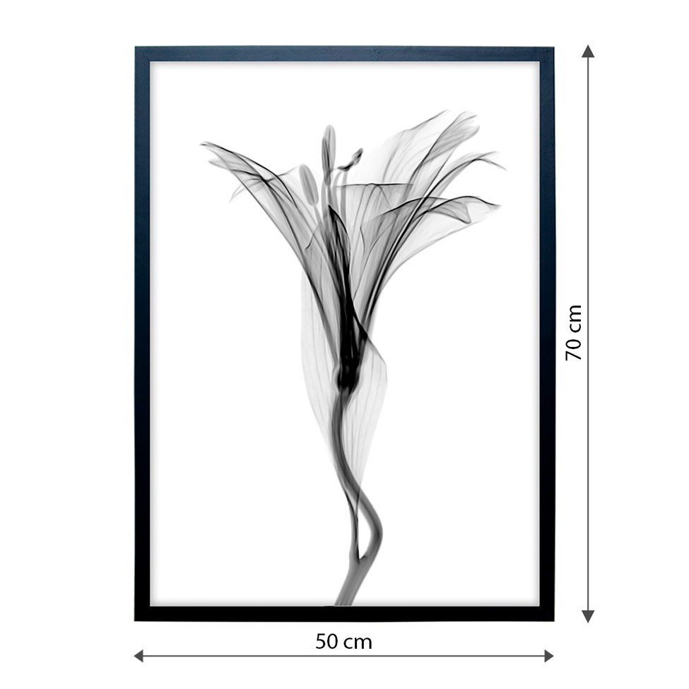 Quadro Clássico Floral Raio-X III com Vidro Preto e Branco 50x70 cm