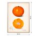 Quadro Cozinha Laranja com Vidro Colorido 40x60 cm