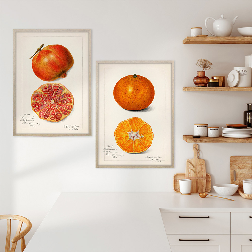 Quadro Cozinha Laranja com Vidro Colorido 40x60 cm