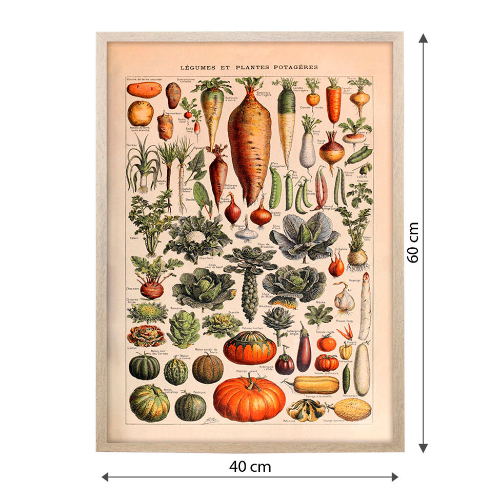 Quadro Cozinha Vegetais com Vidro Colorido 40x60 cm