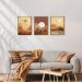 Quadro Natural Boho Lua com Vidro Colorido 30x40 cm