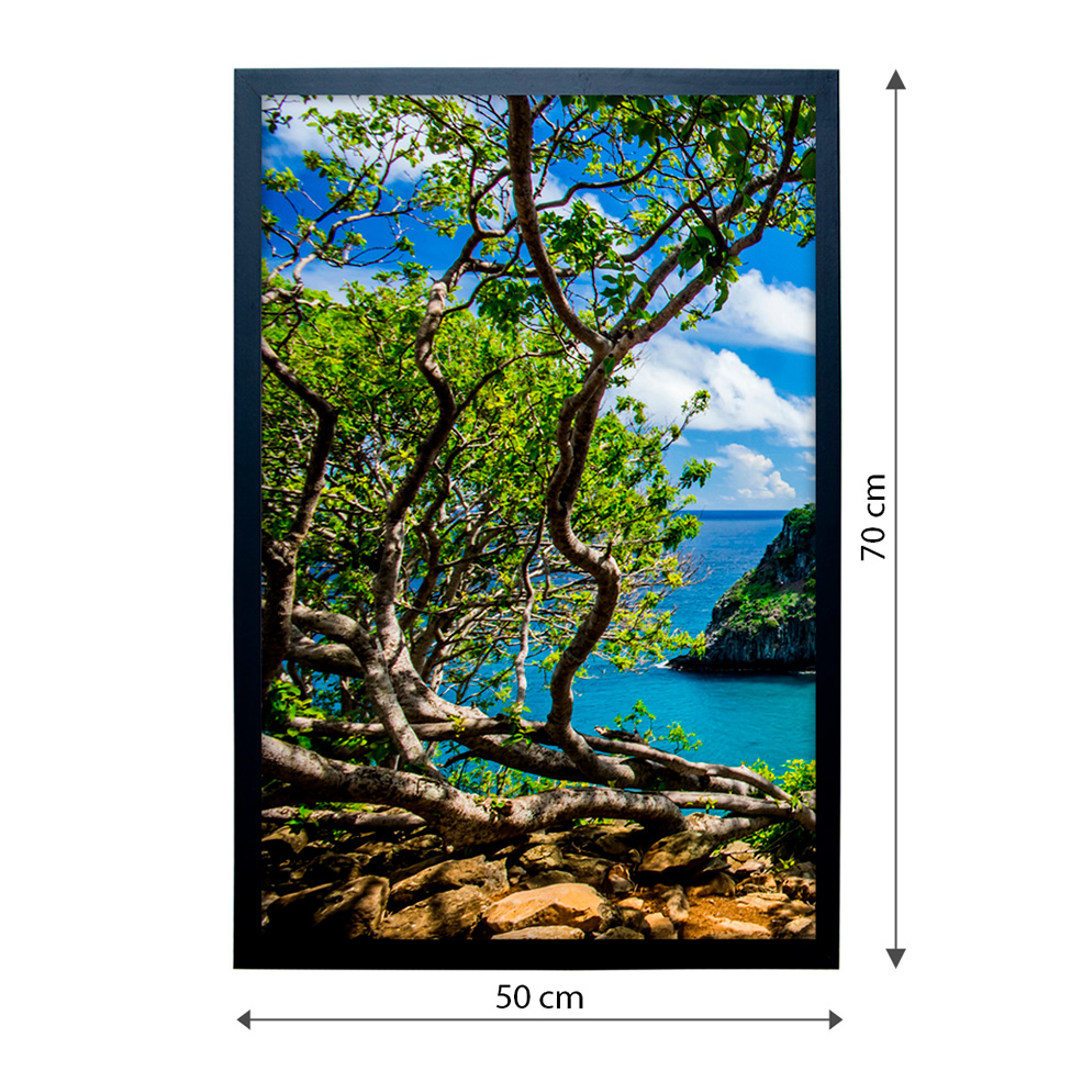 Quadro Natural Litoral I sem Vidro Colorido 50x70 cm