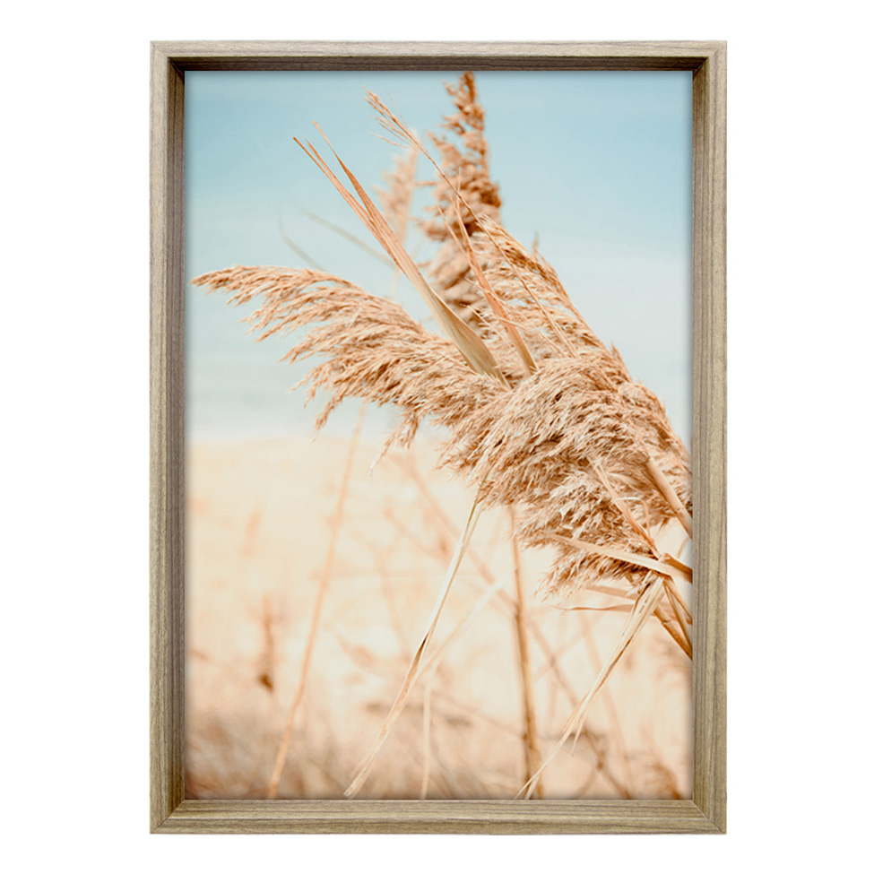 Quadro Natural Pluma I com Vidro Colorido 60x90 cm