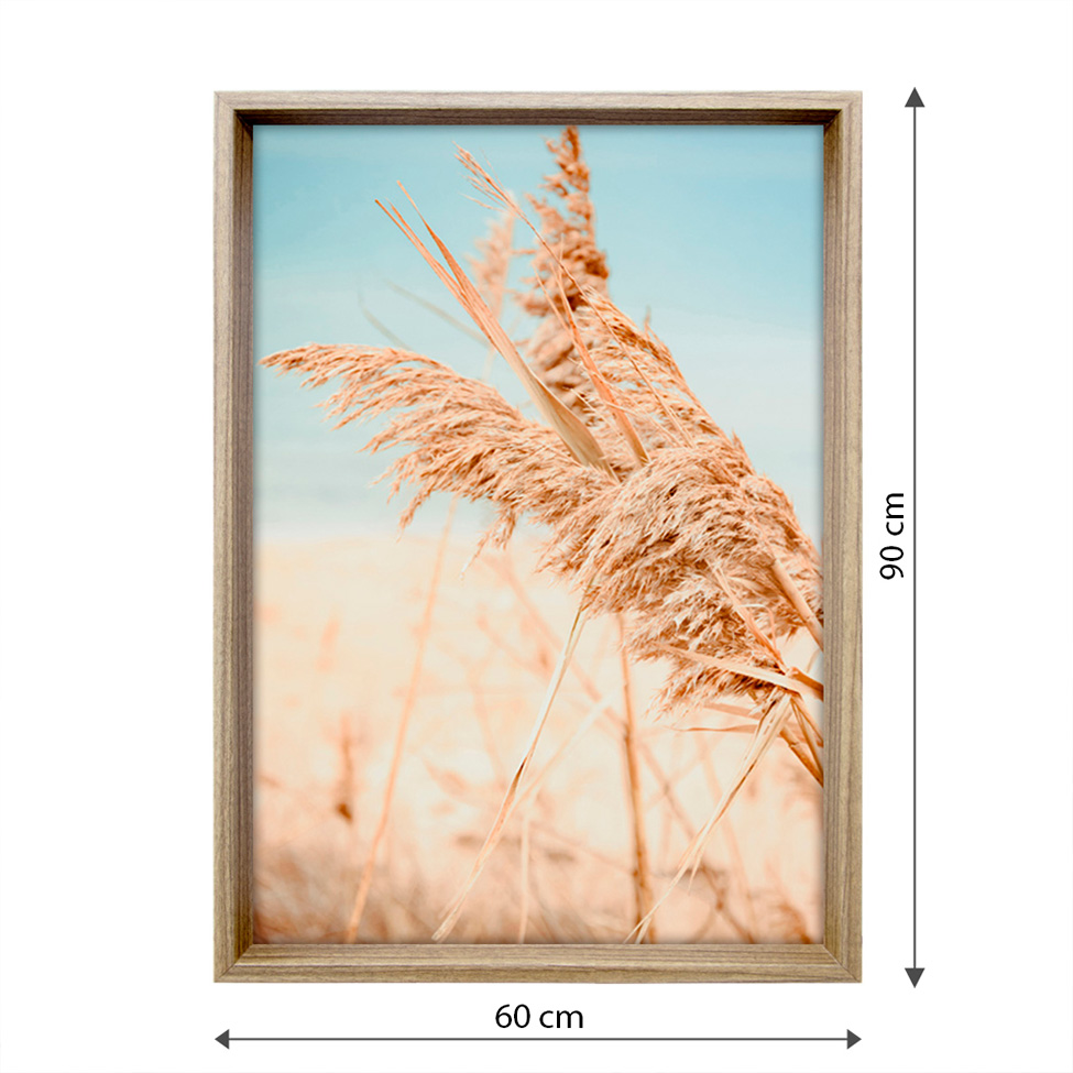 Quadro Natural Pluma I com Vidro Colorido 60x90 cm