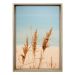 Quadro Natural Pluma II com Vidro Colorido 60x90 cm