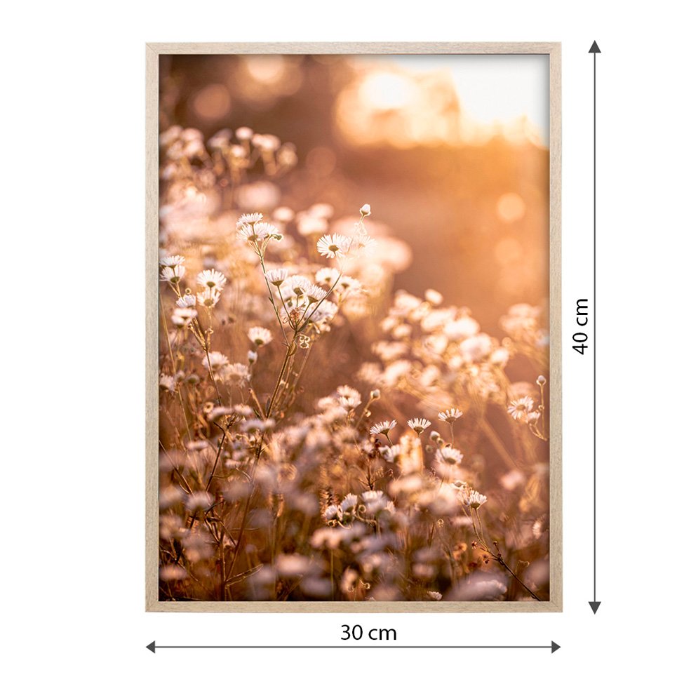 Quadro Romântico Flores II com Vidro Colorido 30x40 cm