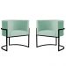 Kit 2 Poltronas Decorativa Sala de Estar Luana Base Preta Veludo Acqua - Montanaris Decor