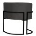 Kit 2 Poltronas Decorativa Sala de Estar Luana Base Preta Veludo Cinza - Montanaris Decor