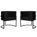 Kit 2 Poltronas Decorativa Sala de Estar Luana Base Preta Veludo Preto - Montanaris Decor