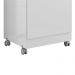 Armario Multiuso 1 Porta Com Rodizio 102X49 cm Lirio Branco Moval