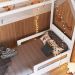 Cama Infantil Casinha Com 2 Gavetas Infix C06 Branco - Mpozenato
