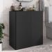 Balcão Multiuso Organizador para Banheiro 2 Portas 63cm Multimóveis MP5038 Preto