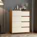 Cômoda 80cm com 4 Gavetas Multimóveis CR35243 Nature/Champanhe